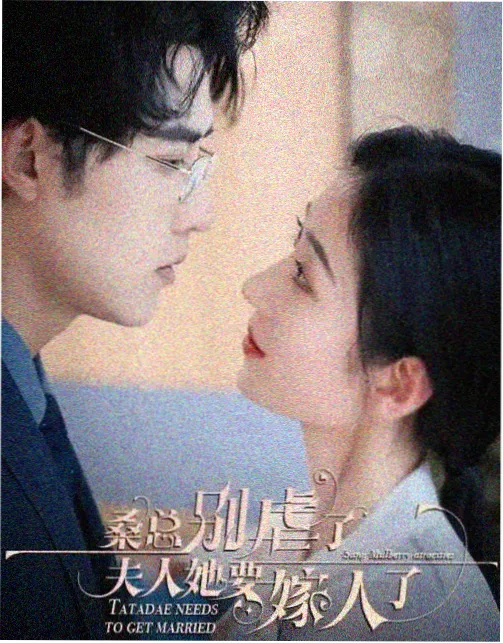 湾区故事